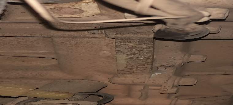 The Last of us